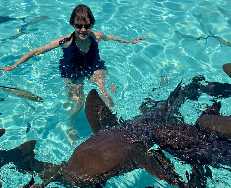 Bahamas--Leigh w sharks